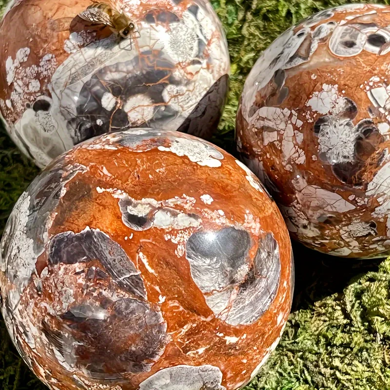 1pc 7.5-8cm Natural Money Lace Agate Sphere, Fengshui Fortune Ball, Home Decor Ornament, Holiday Gift & Crystal Stones Sphere