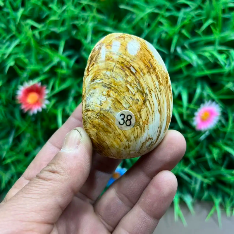 Natural Quartz Crystal Carved Shell — Healing Specimen & Ocean-Inspired Home Decor