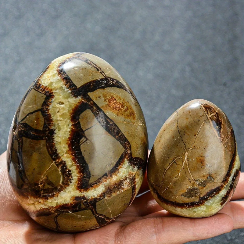 CrystalHola Septarian Dragon Egg Turtle Back  Stone Statue 500-1200g Natural Quartz  Healing  Stones Natural  Crystal Crafts