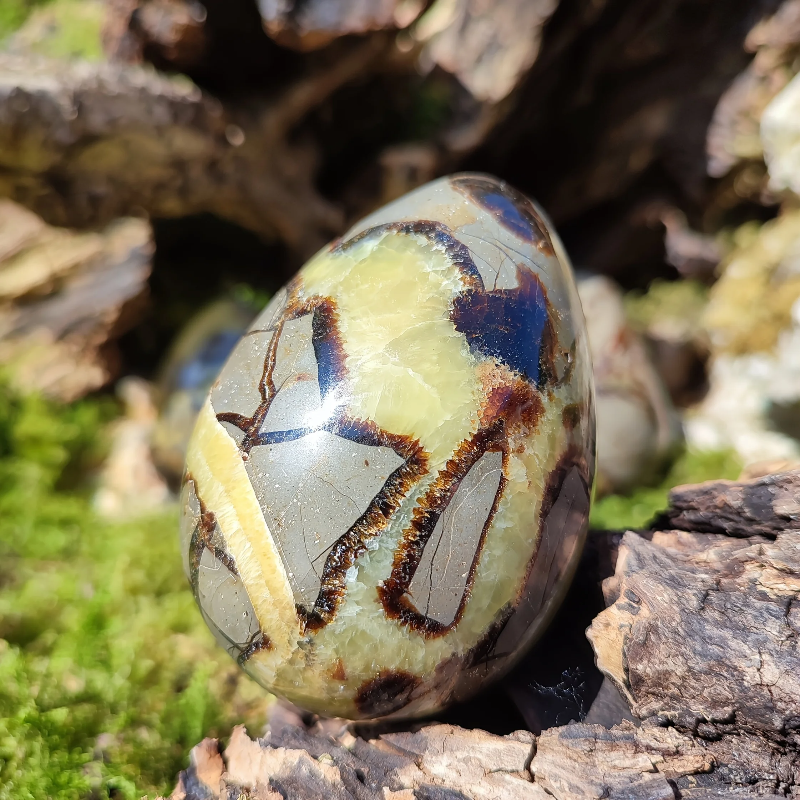 500-800g Turtle Back Stone Dragon Crack Egg Crystal Healing Stone, Home Decor, One-of-a-Kind Valentine's Day Gift