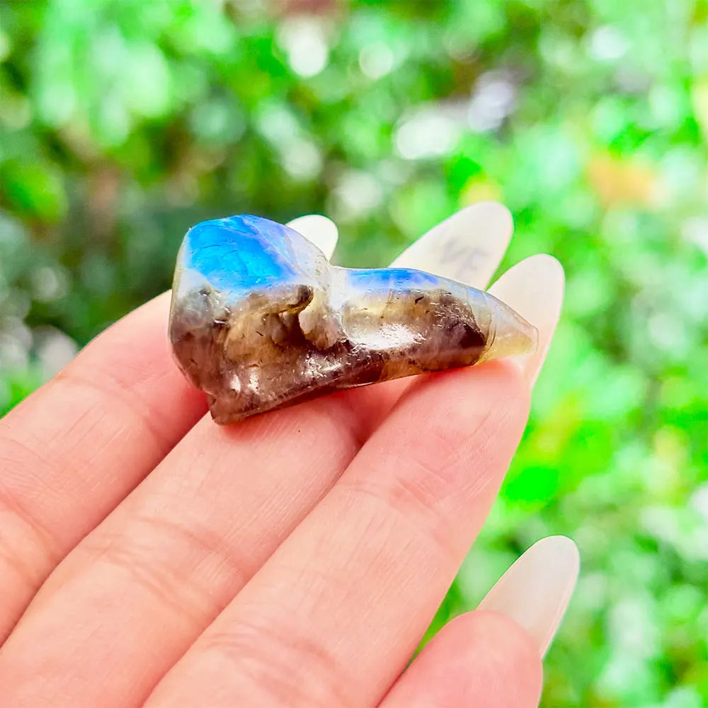 Natural Labradorite Stone Mini Bird Skull Carving Craft Animal Gift Crafts Feng Shui Home Decoration Stone Statues 3.8cm 1pcs