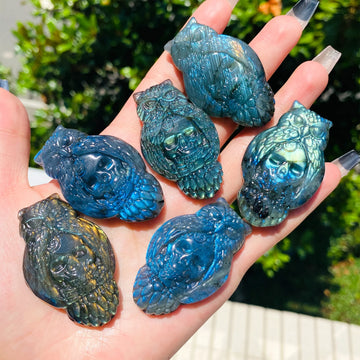 1pc Natural Crystal Labradorite Owl Skull Carving - Polished & Handcrafted, Blue & Golden Iridescent Finish, Unique Home Desktop