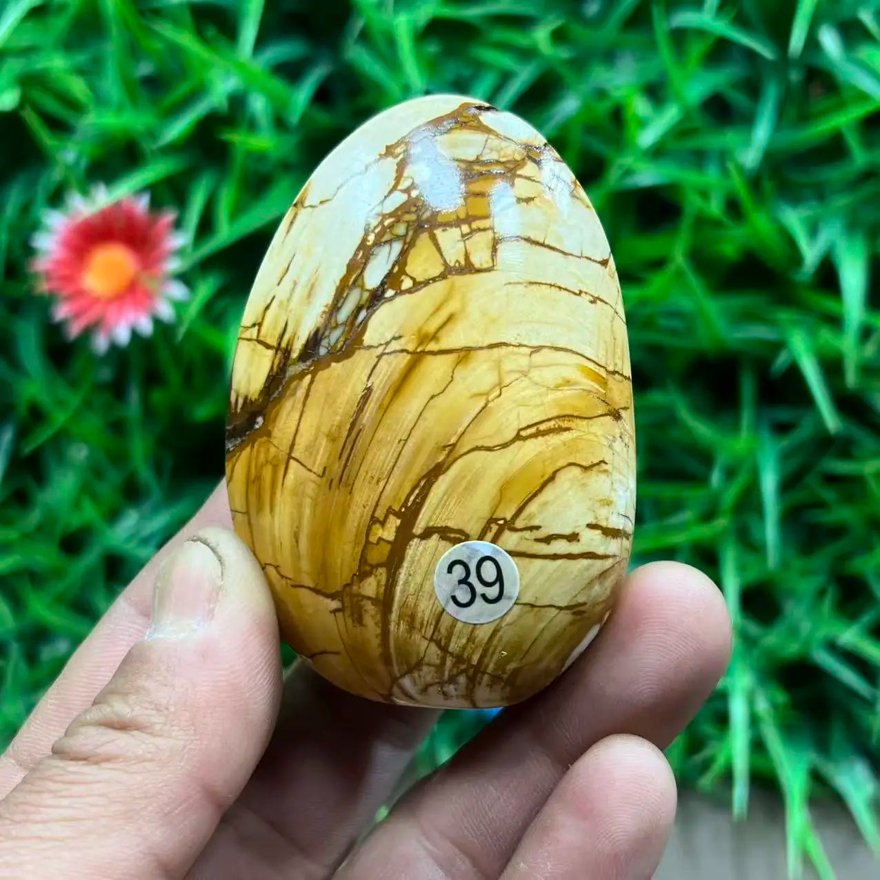 Natural Quartz Crystal Carved Shell — Healing Specimen & Ocean-Inspired Home Decor