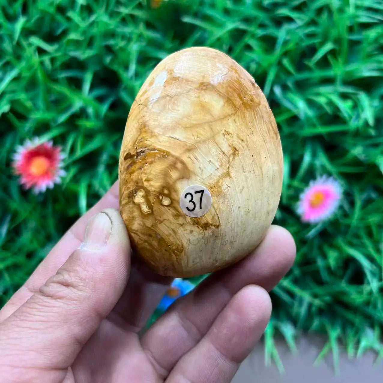 Natural Quartz Crystal Carved Shell — Healing Specimen & Ocean-Inspired Home Decor