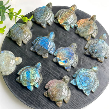 1PC Labradorite Turtle Natural Carving Flash Crystal Home Decoration Crystal Heal Reiki Energy Meditation Pocket Stones