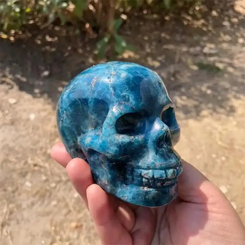 Natural Apatite Skull Carving Statue Reiki Healing Fengshui Crafts Home Office Decoration Gifts 1PCS