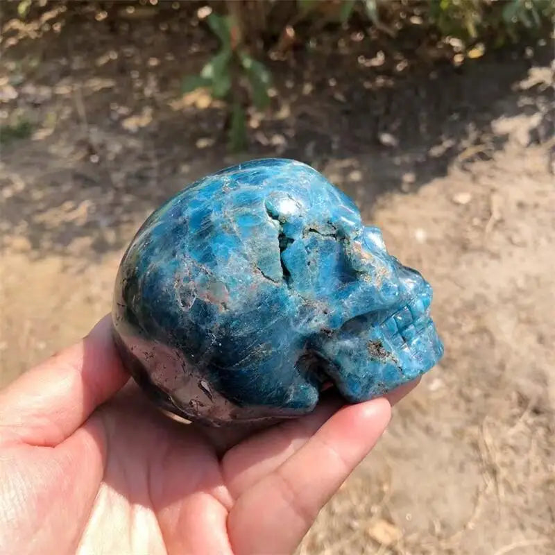 Natural Apatite Skull Carving Statue Reiki Healing Fengshui Crafts Home Office Decoration Gifts 1PCS