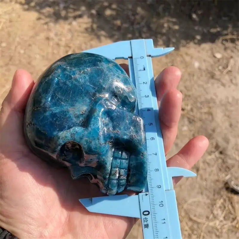 Natural Apatite Skull Carving Statue Reiki Healing Fengshui Crafts Home Office Decoration Gifts 1PCS
