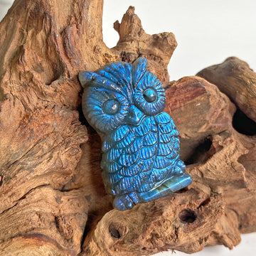 Natural Labradorite Stone Owl Carving with Strong Blue Radiance - Bohemian Style, Handcrafted, Unique Animal Design for Jewelry