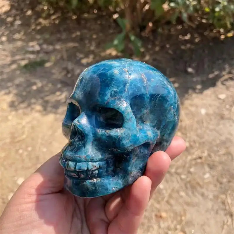 Natural Apatite Skull Carving Statue Reiki Healing Fengshui Crafts Home Office Decoration Gifts 1PCS