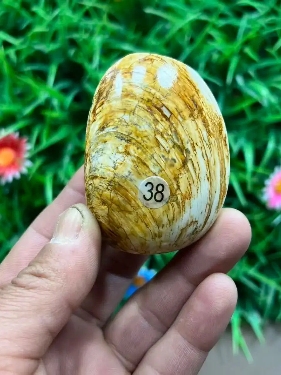 Natural Quartz Crystal Carved Shell — Healing Specimen & Ocean-Inspired Home Decor