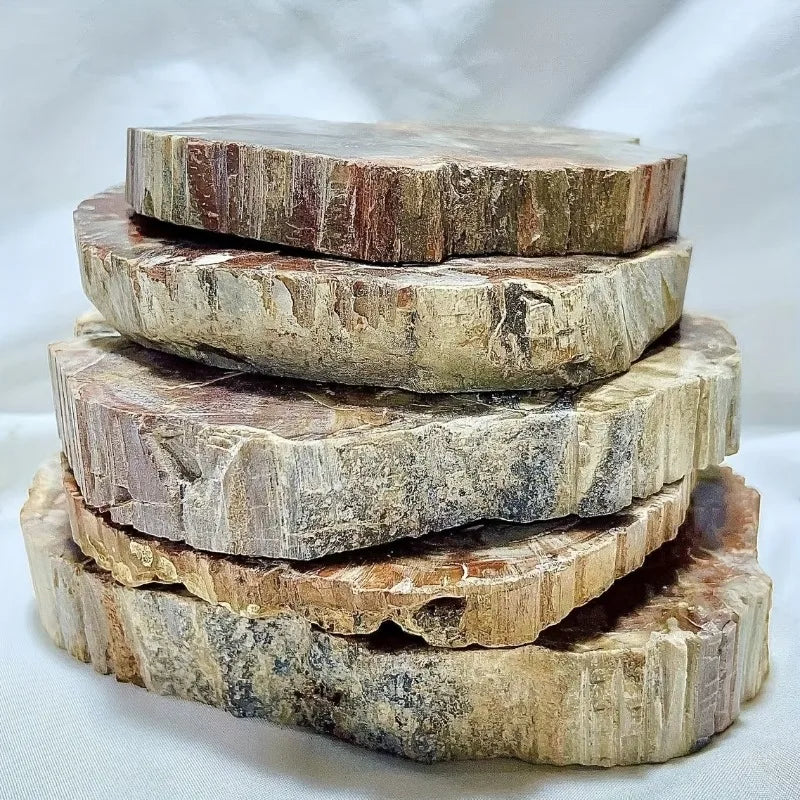 400-500g CrystalHola Petrified Wood Slab Natural Irregular Smooth Fossils  Hogar Decoración Espiritual Home Decor