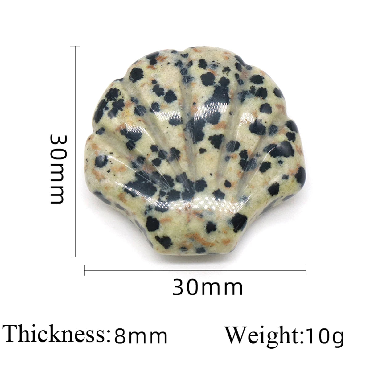Shell Shaped Natural Carved Glitter Stone Crystal DIY Home Decoration Healing Halo Gem Mineral Specimen Decoration Gift 1pc