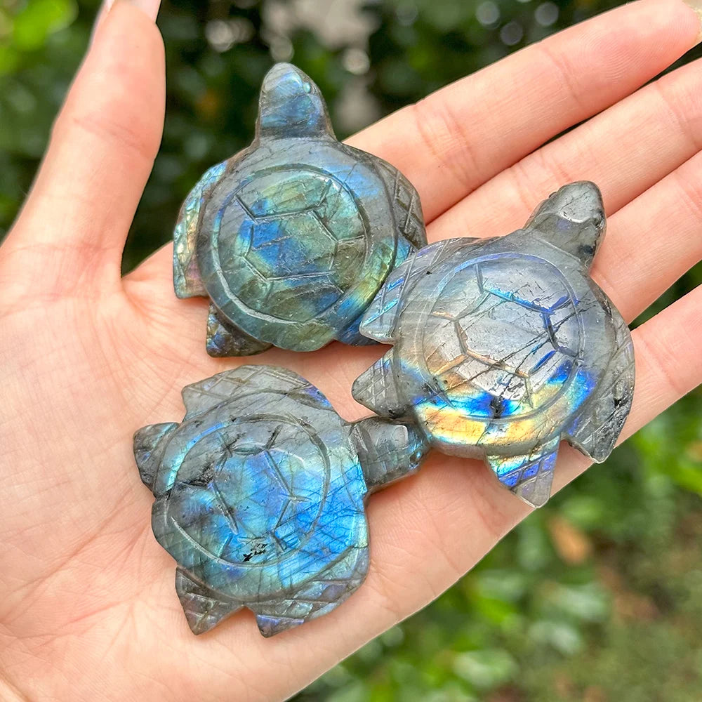 1PC Labradorite Turtle Natural Carving Flash Crystal Home Decoration Crystal Heal Reiki Energy Meditation Pocket Stones