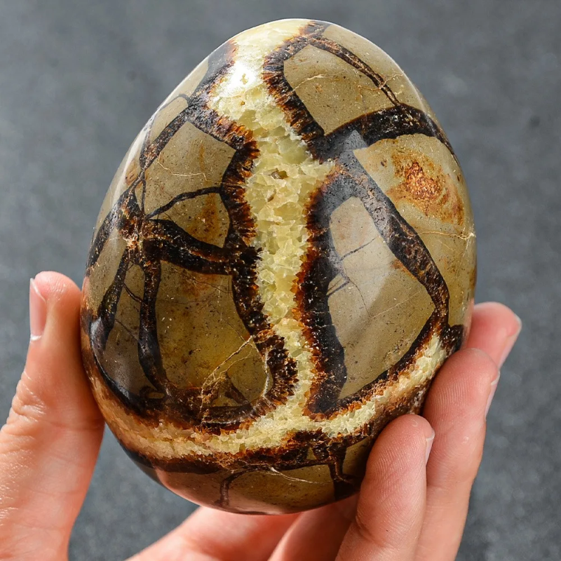 CrystalHola Septarian Dragon Egg Turtle Back  Stone Statue 500-1200g Natural Quartz  Healing  Stones Natural  Crystal Crafts