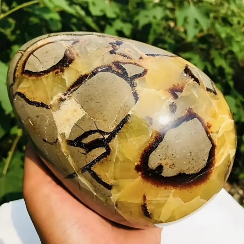 CrystalHola Septarian Dragon Egg Turtle Back  Stone Statue 500-1200g Natural Quartz  Healing  Stones Natural  Crystal Crafts