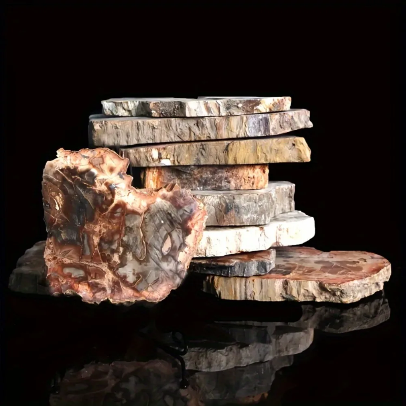 CrystalHola Petrified Wood Slab Natural Irregular Smooth Fossils Semi Precious Stones  Home Decoration