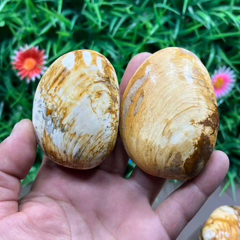 Natural Quartz Crystal Carved Shell — Healing Specimen & Ocean-Inspired Home Decor