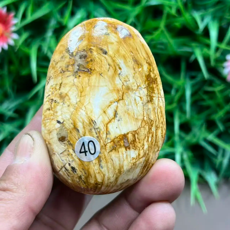 Natural Quartz Crystal Carved Shell — Healing Specimen & Ocean-Inspired Home Decor